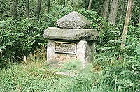Foto: "Naturpark Eggegebirge und südlicher Teutoburger Wald"